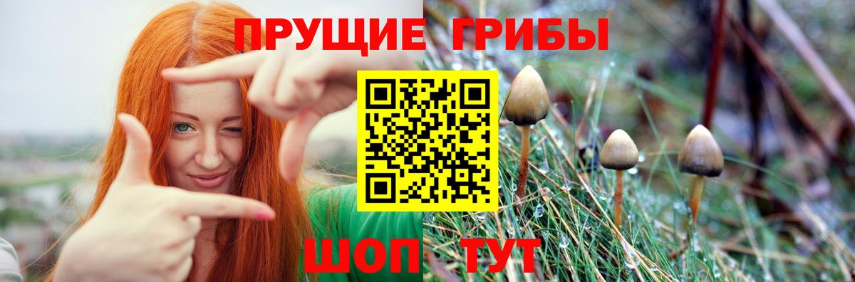 Саки  Псилоцибиновые грибы прущие грибы  Вход с VPN 